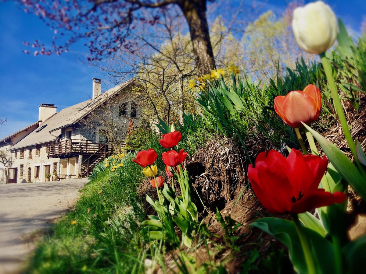 D'hotes La Grange Des Ecrins 3* Chabottes